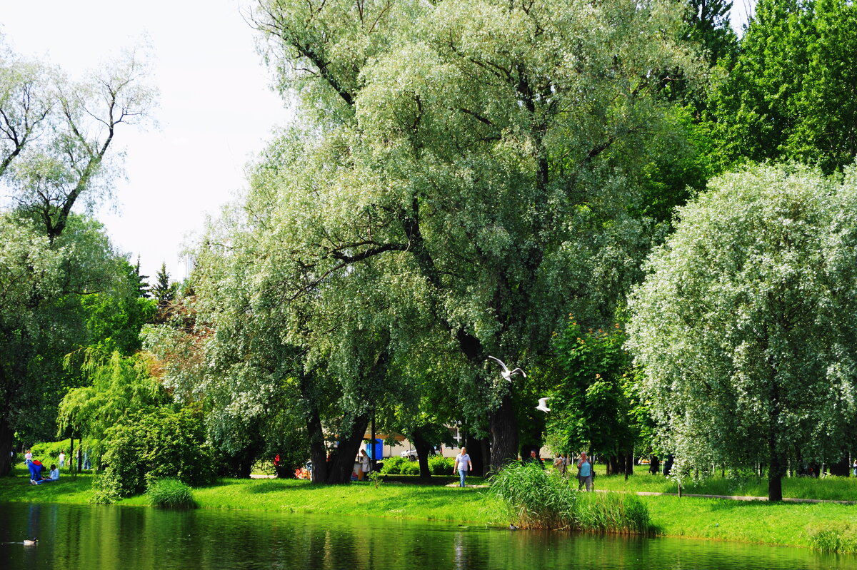 /// - Виктор Никитенко /// - Виктор Никитенко