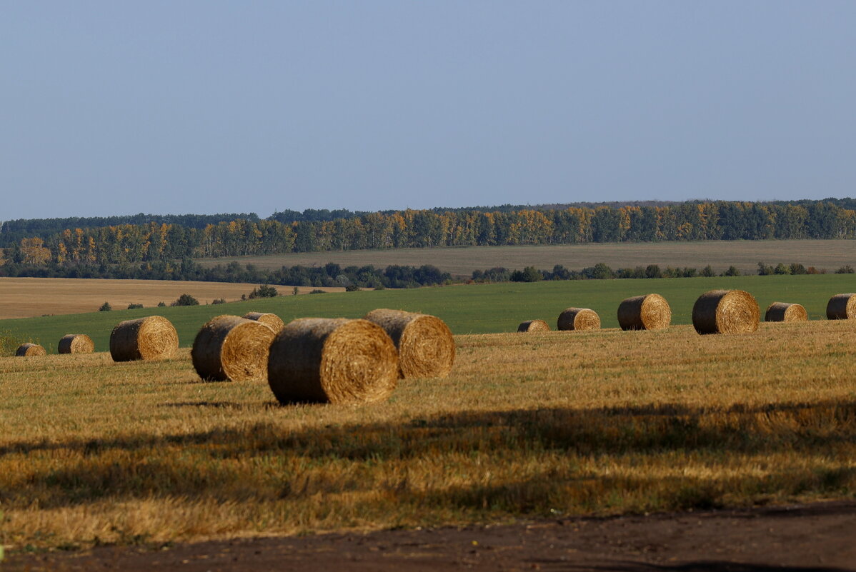 Формы природы. - Александр Кондаков