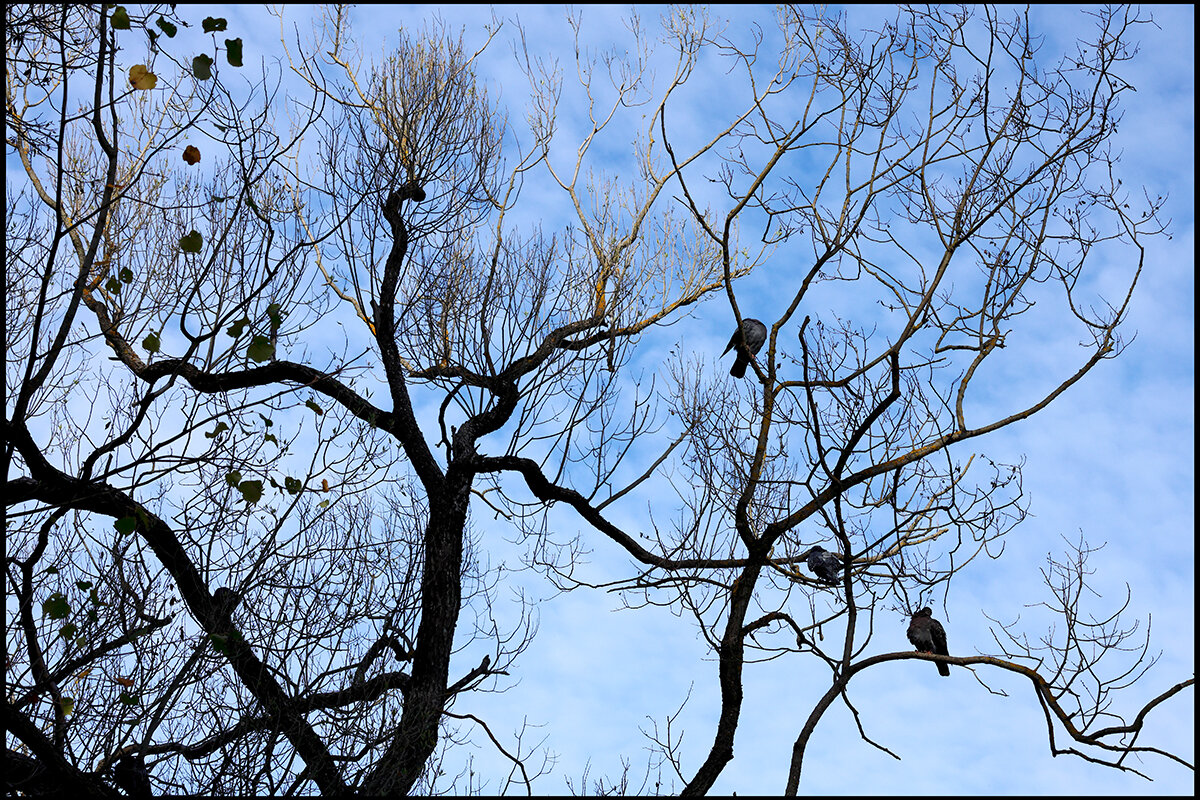 Сентябрь - Сергей Премонишын