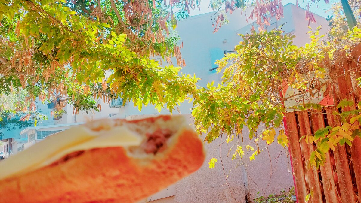 13  ОПЕН (345) - OPEN WAYS ALL