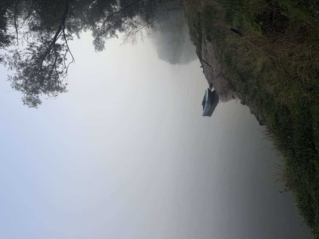 Туманное утрр - Екатерина Маринина