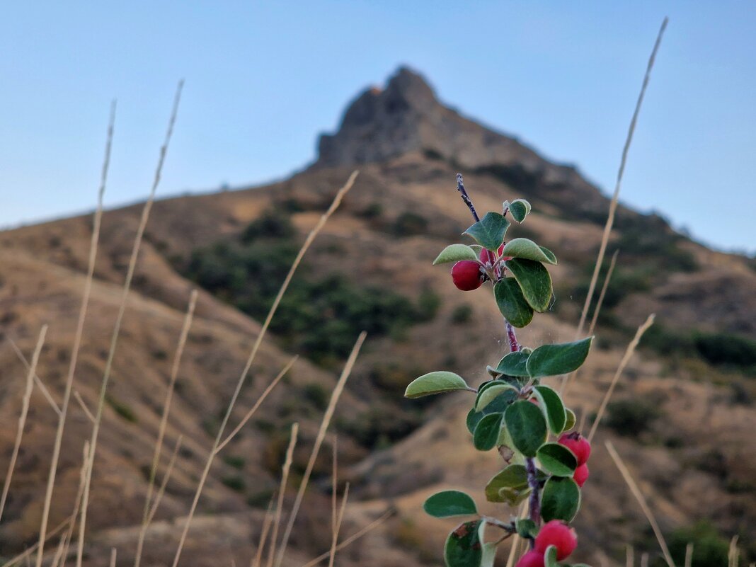 Крым. - Мария Яковлева