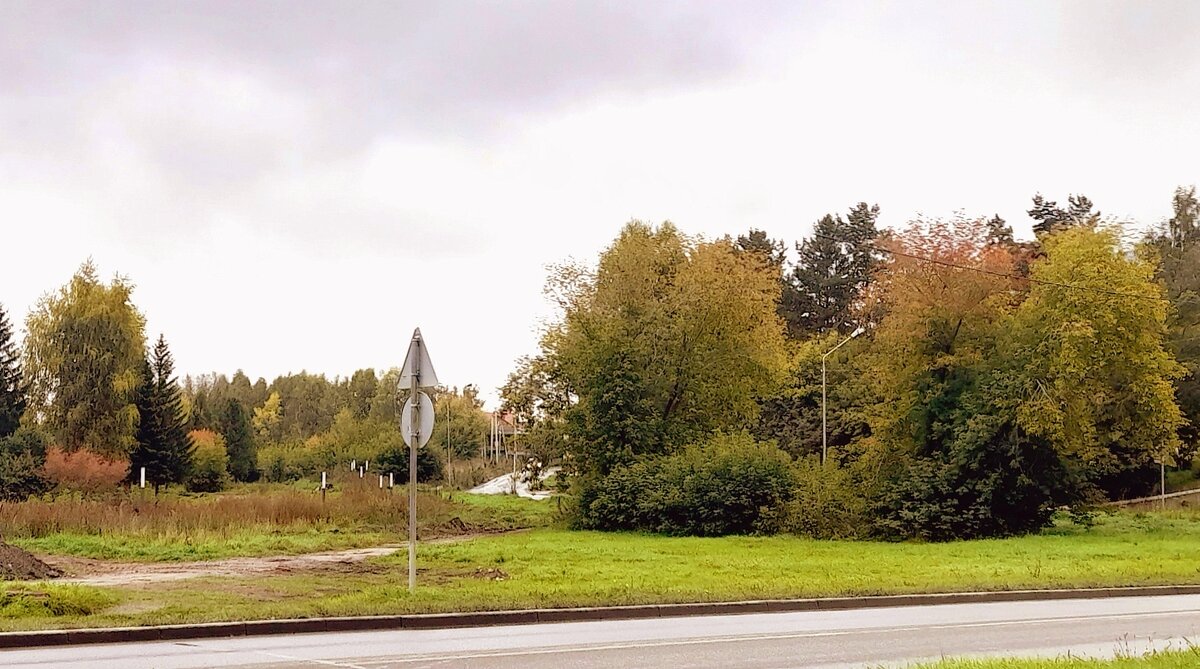 Сентябрьский пейзаж  в парке . - Мила Бовкун