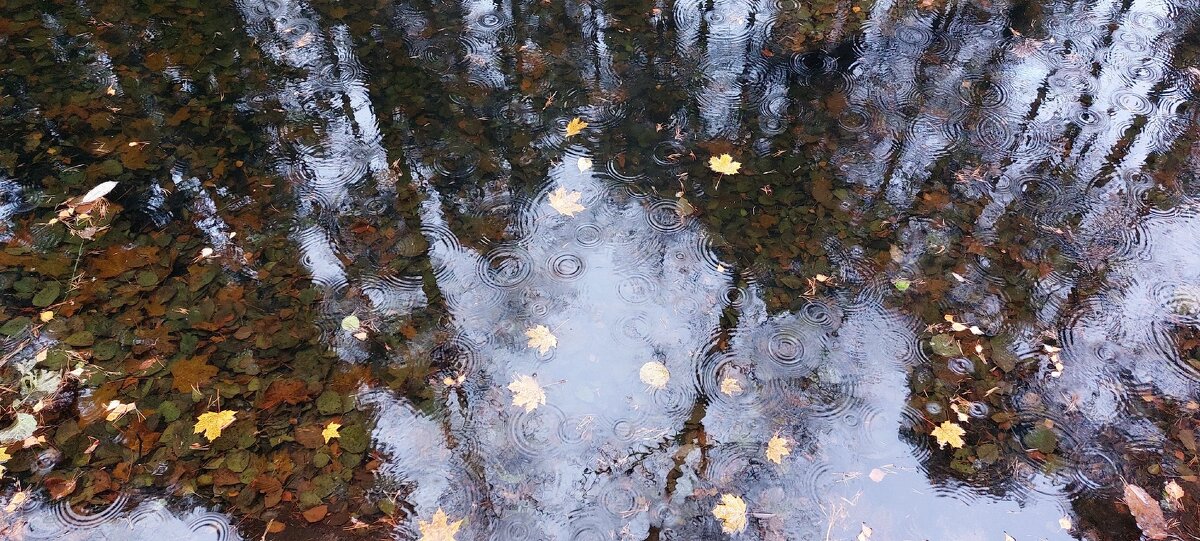 Остатки былой роскоши - Хватова Марина 