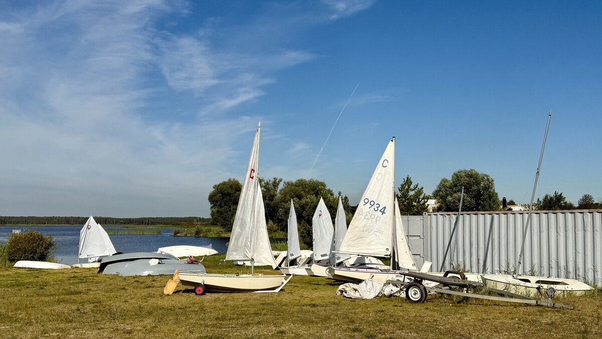 «Суши весла!» - Арина Невская