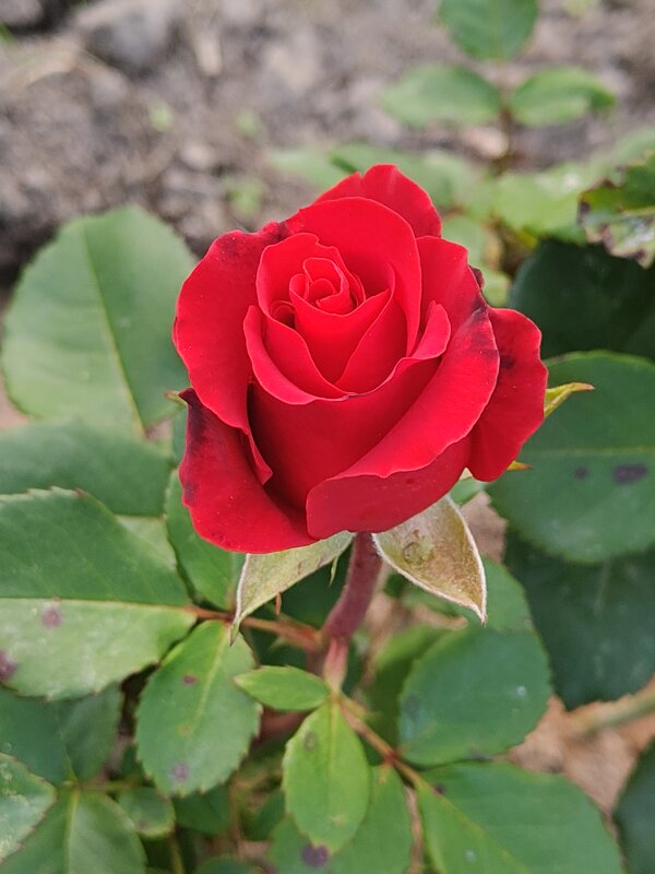 Краски осени - Андрей 