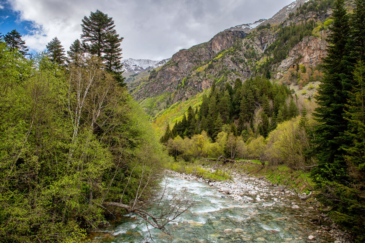 Гоначхирское ущелье, Домбай. КЧР. - Дина Евсеева