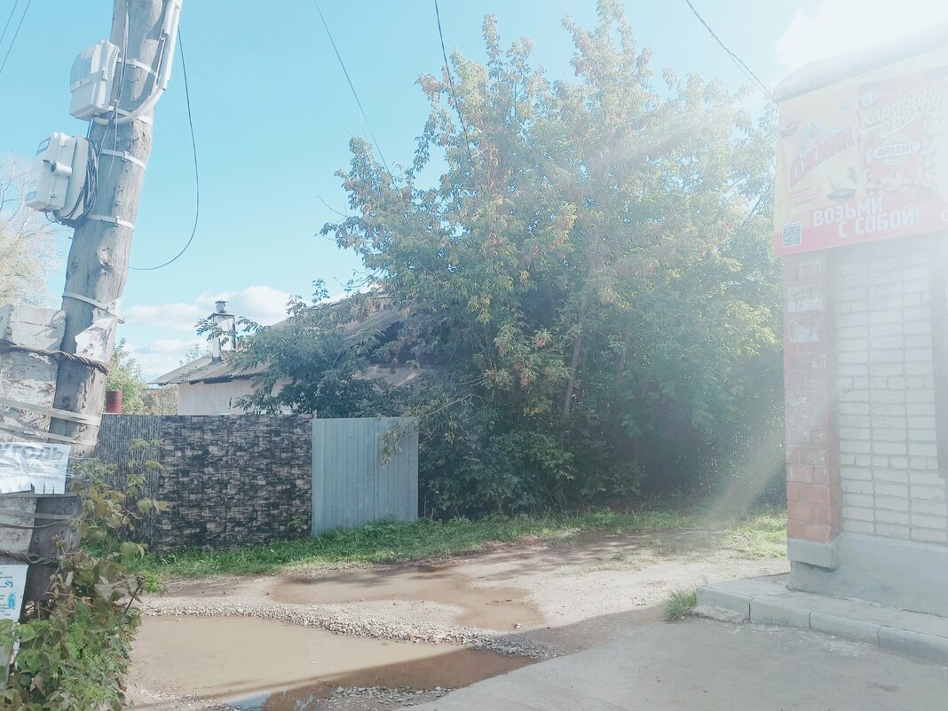 Позиция лета, - Игорь Солдаткин