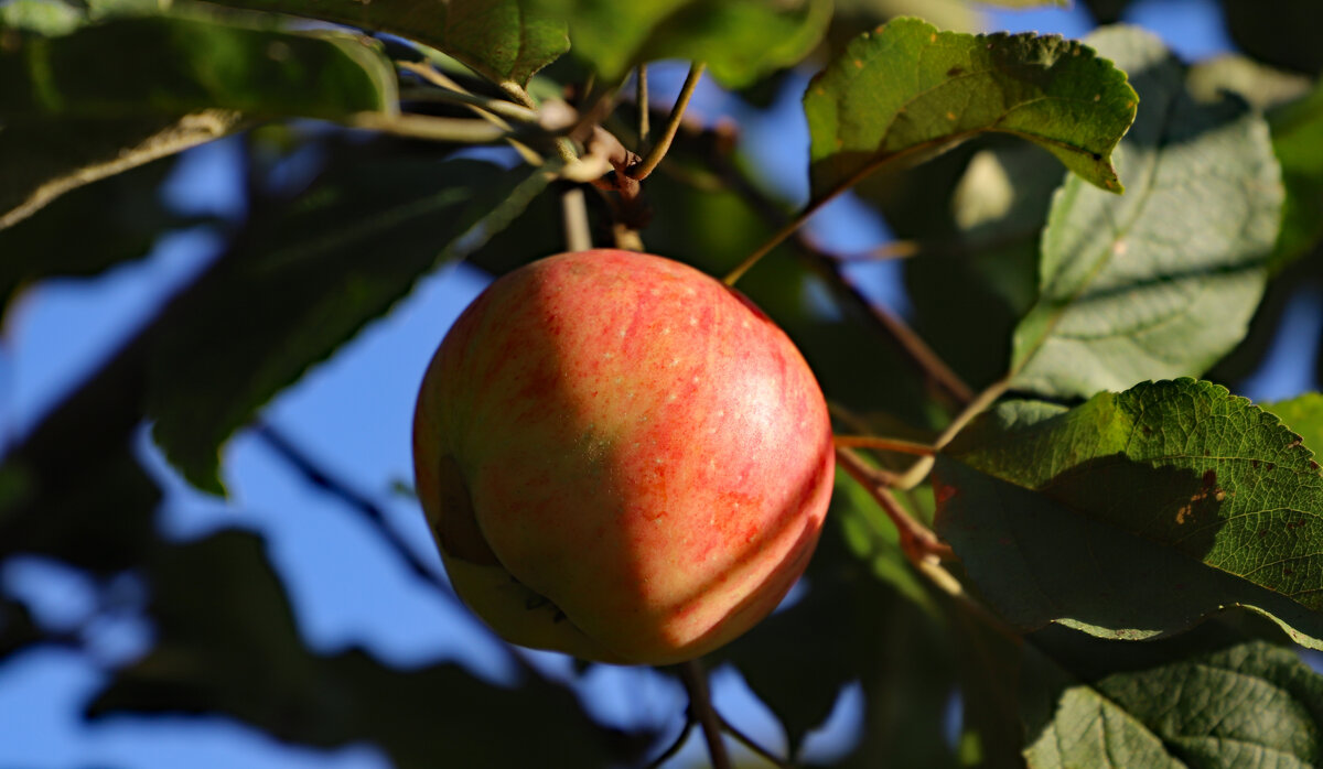 Сентябрь - краснов юрий Сентябрь - краснов юрий