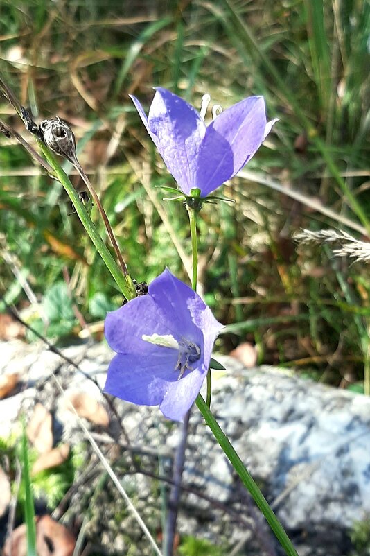 Сентябрь - Наталья Герасимова