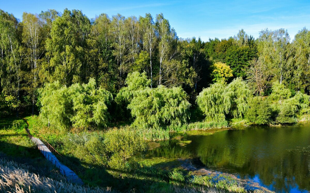 Смоленщина в сентябре (репортаж об осеннем озере). - Милешкин Владимир Алексеевич 