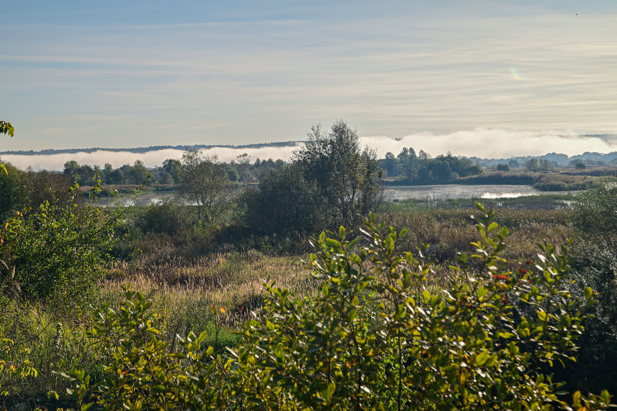 утро - Константин Сафронов