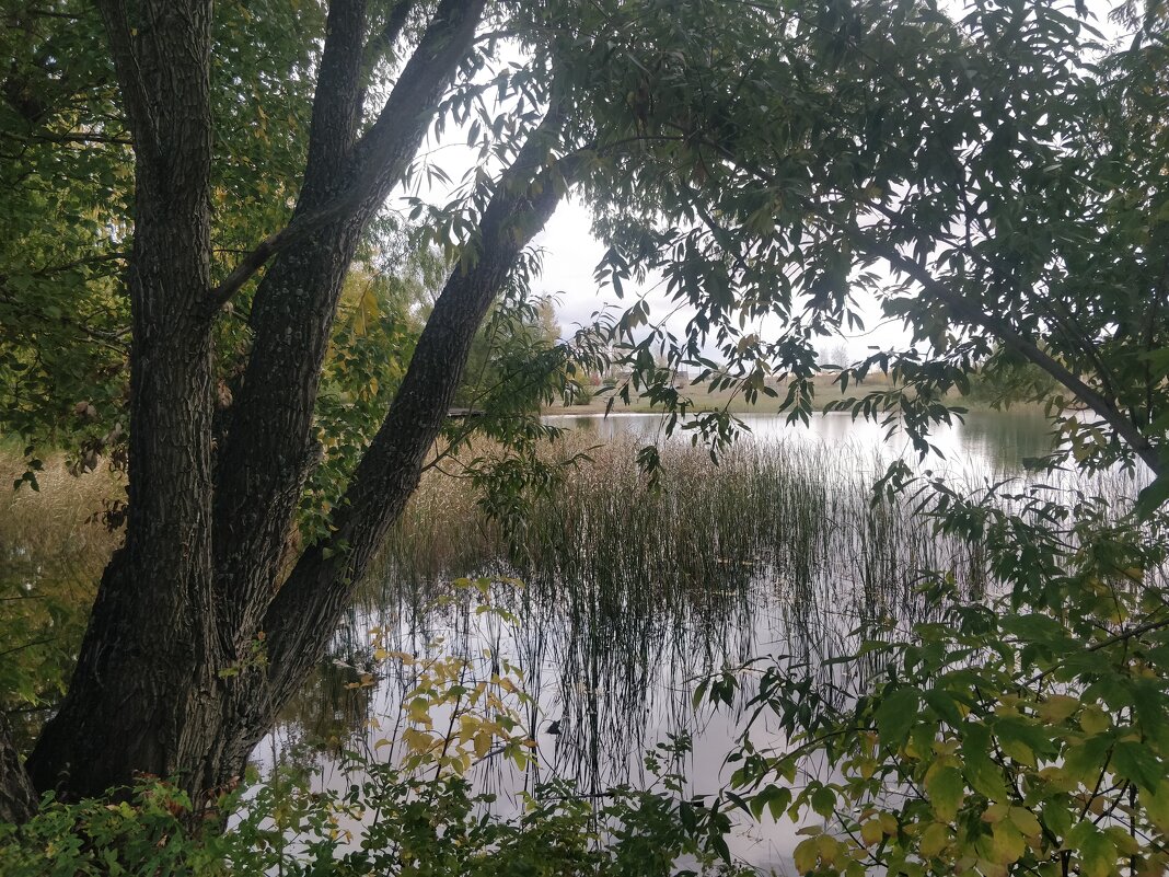 Озерко. - Андрей Хлопонин