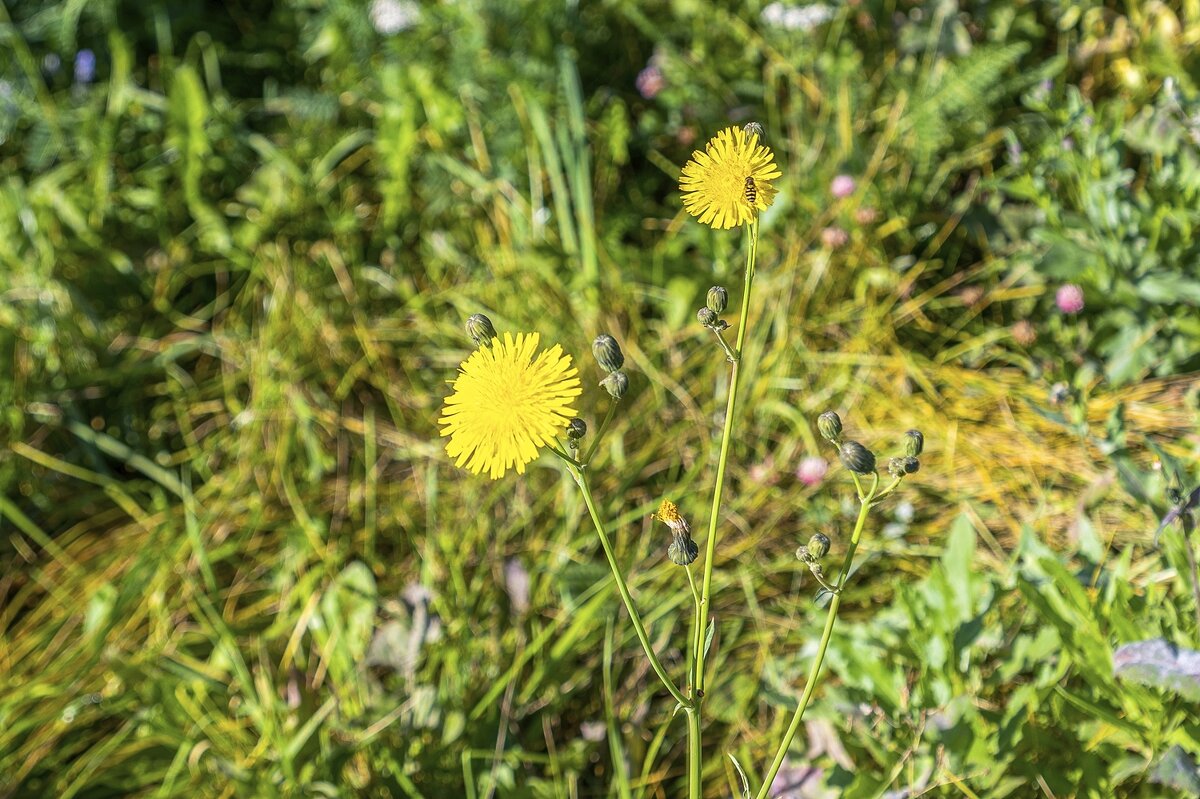 Осенние - Валерий Иванович