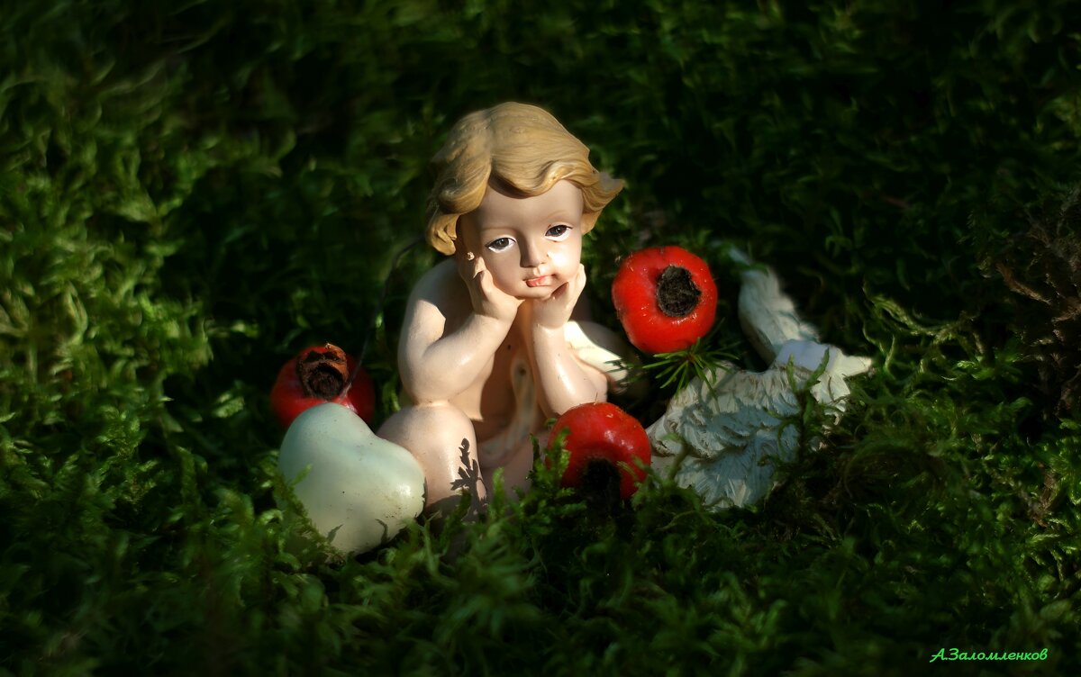 Осень наступила, отцвела капуста... ;-) - Андрей Заломленков Осень наступила, отцвела капуста... ;-) - Андрей Заломленков