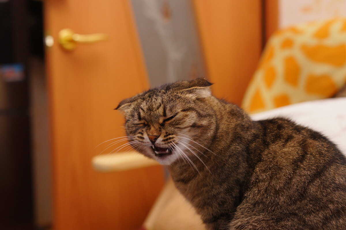 Опять со своим фотоаппаратом - Владислав Левашов