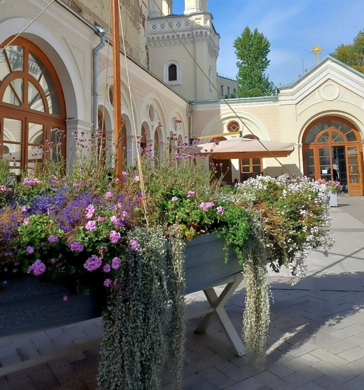 Прогулка по Москве.   Иоанно Предтеченский монастырь. - Ольга Довженко