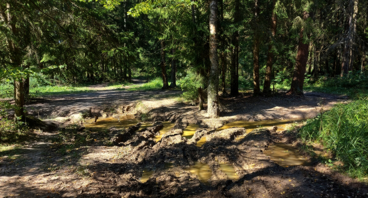 Всё! Дальше только пешком... - Владимир Безбородов