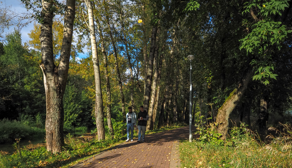 ***** - юрий поляков
