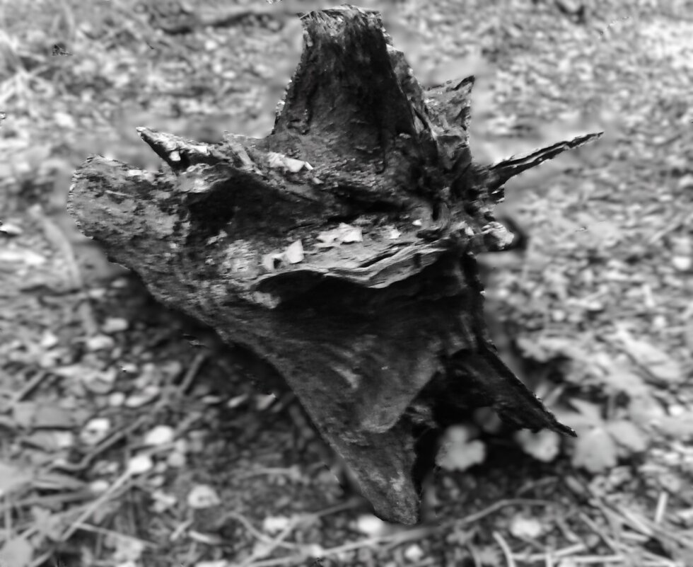 ... - Василий Палий