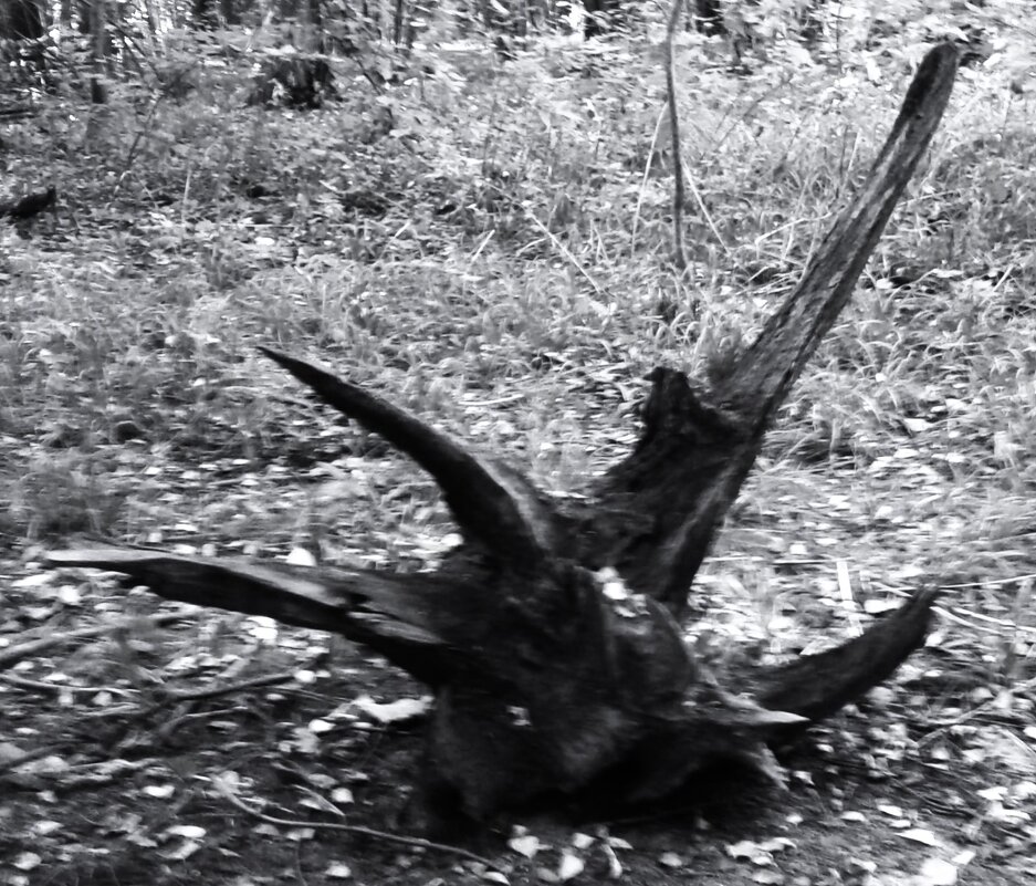 Чур меня! - Василий Палий