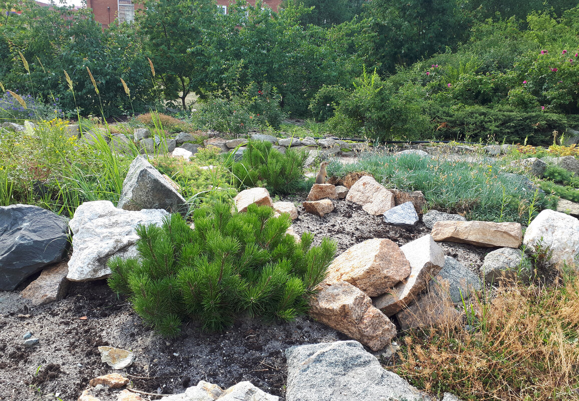 Ёлочка - Дмитрий Петров