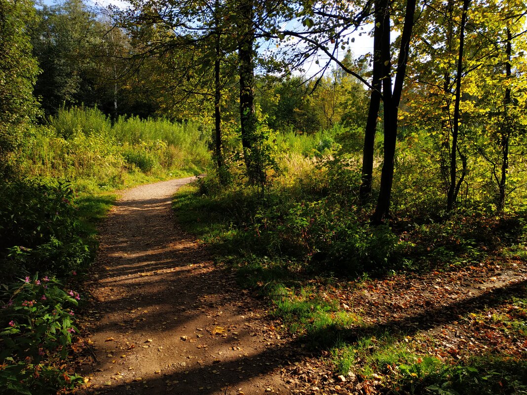 Бабье лето в Измайловском парке - Андрей Лукьянов Бабье лето в Измайловском парке - Андрей Лукьянов