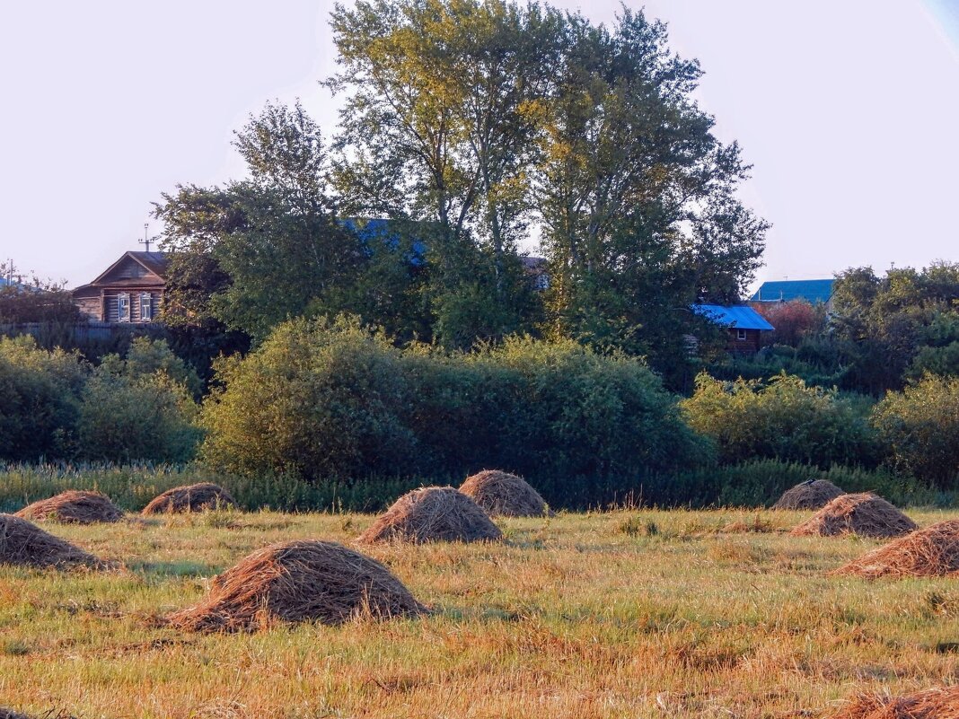 Посмотри, как он хорош - мир, в котором ты живёшь! - Елена Хайдукова  ( Elena Fly )