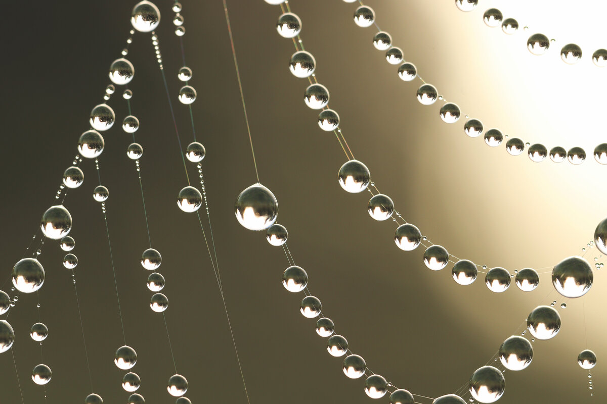 *** - Елена Kазак (selena1965) *** - Елена Kазак (selena1965)