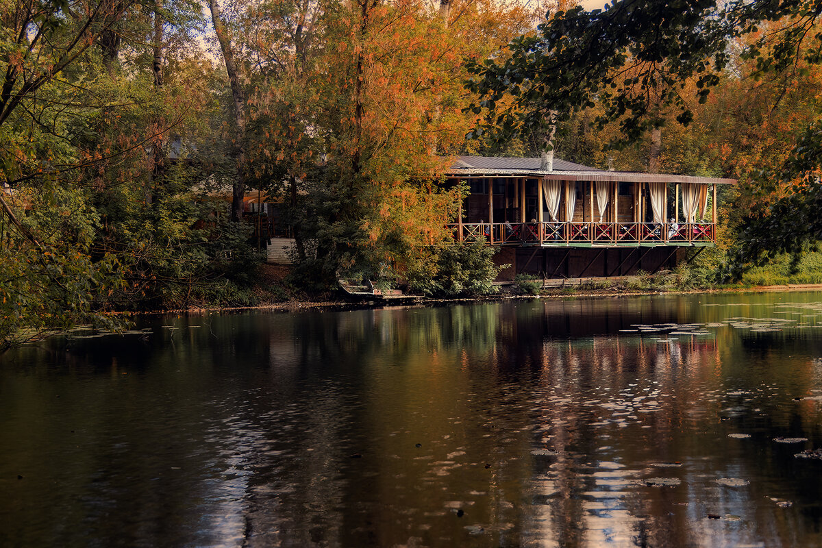 Осенние мотивы - Michel 