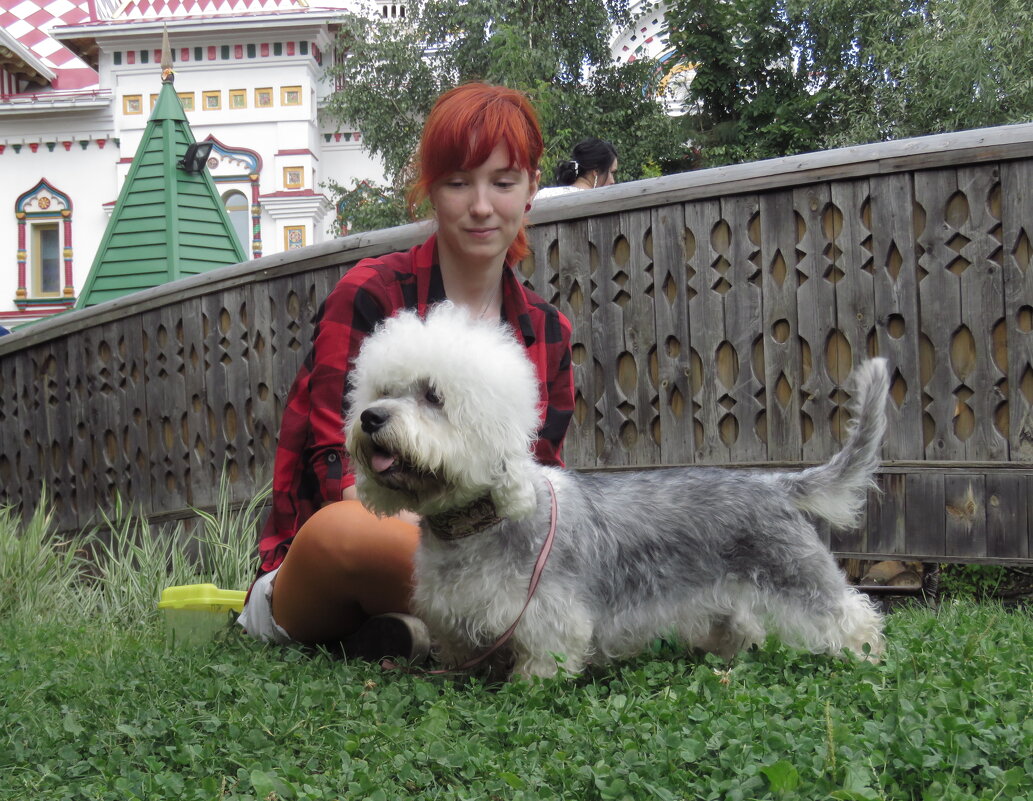 красотка - ИРЭН@ .