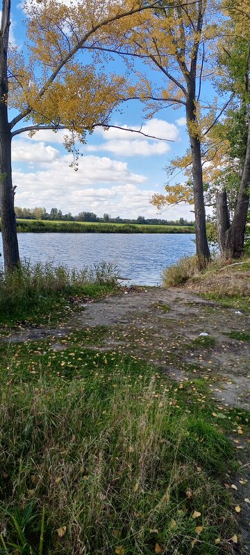 Вдоль по озеру - Андрей Макурин Вдоль по озеру - Андрей Макурин