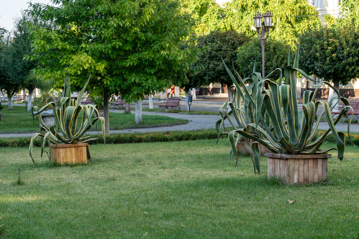 Прогулка по городу Армавир - Игорь Сикорский