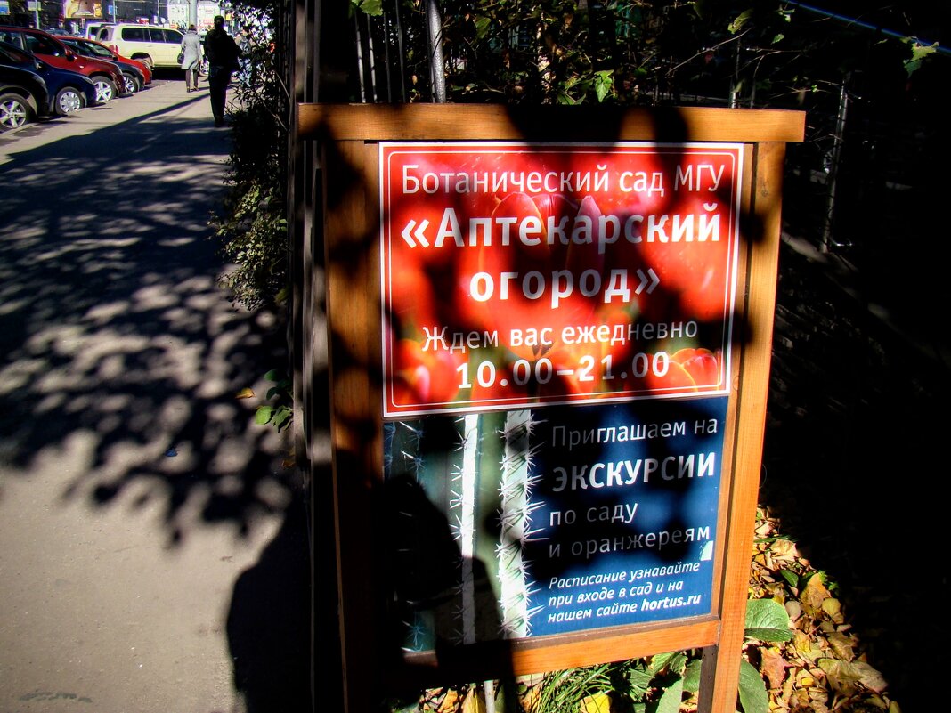 Обязательное приглашение ! ) - Анатолий Колосов