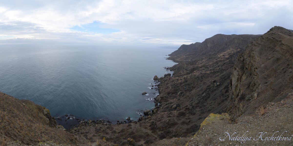 Природа Крыма - Amazing Cosmea