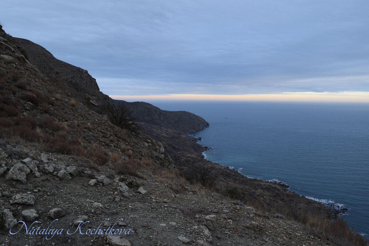 Природа Крыма - Amazing Cosmea