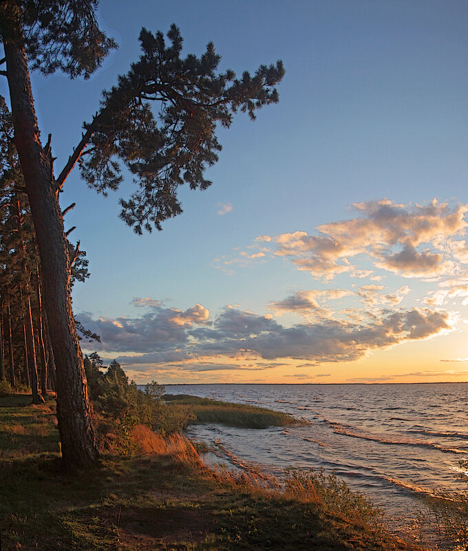 *** - Сергей Григорьев