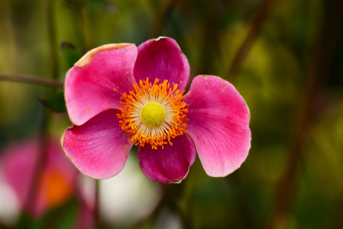 Доброе утро - Юрий. Шмаков