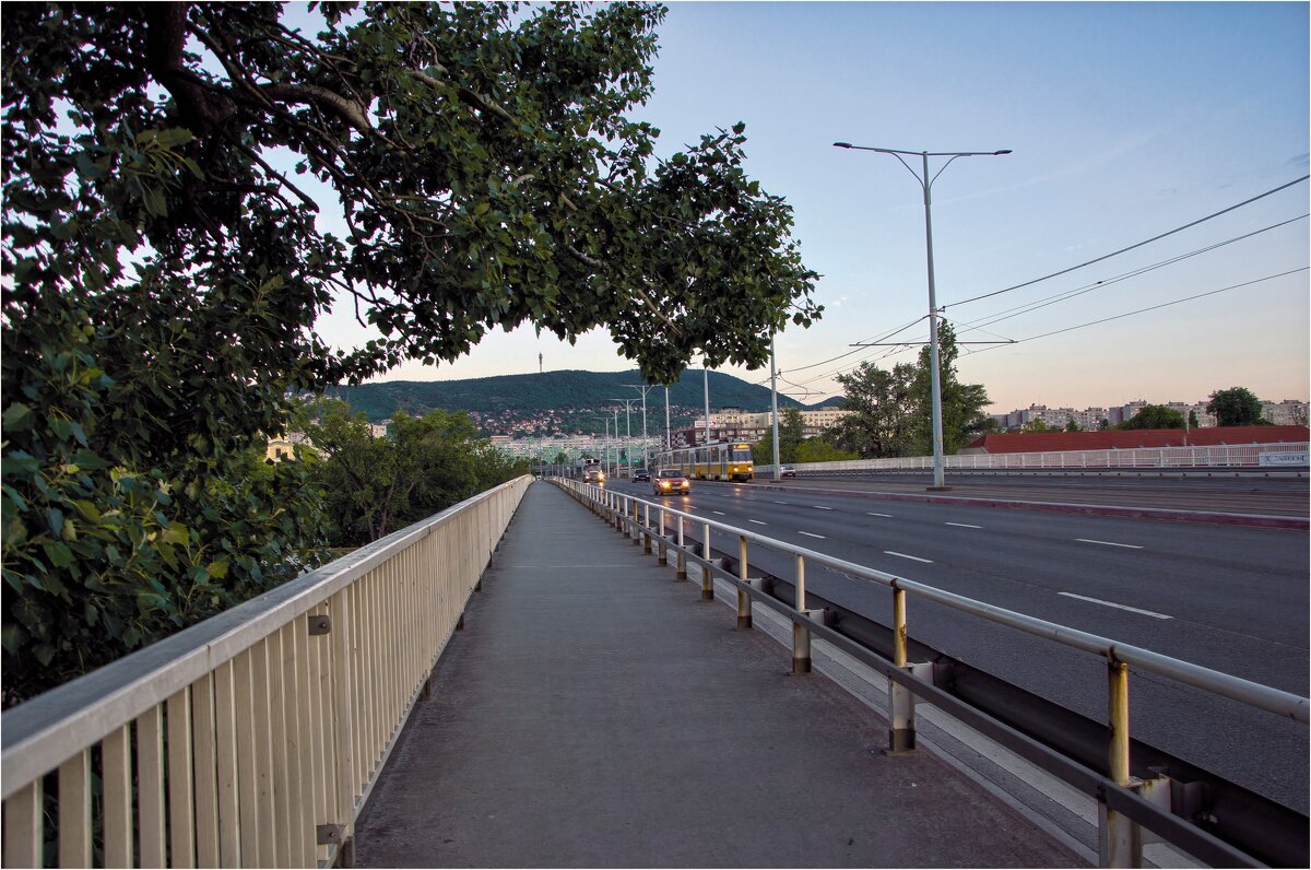 Венгрия , Будапешт — Мост через  Дунай 2019г Камера: NIKON D5100 - ujgcvbif 