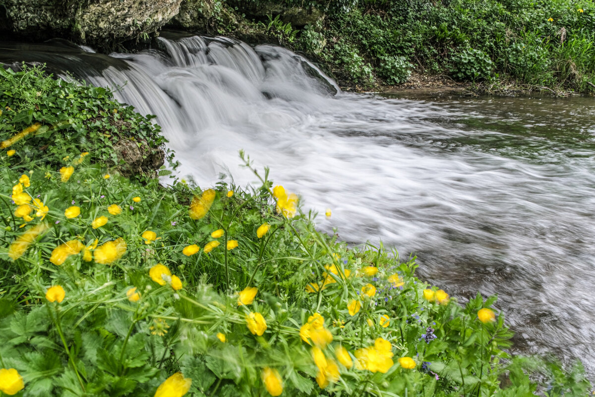 Речка в парке замка Акиньи - Георгий А