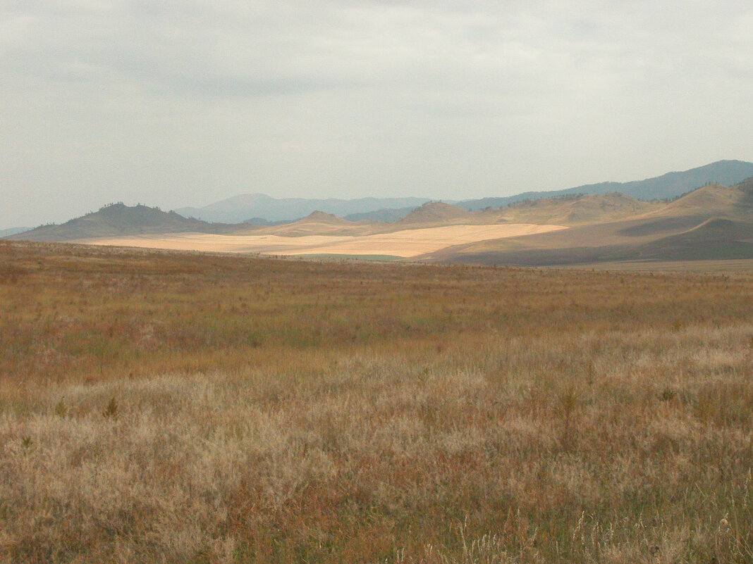 По диким степям Забайкалья ... - Наталья Лунева 