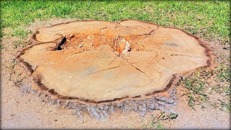 И всё, что от него осталось ... - Сергей 