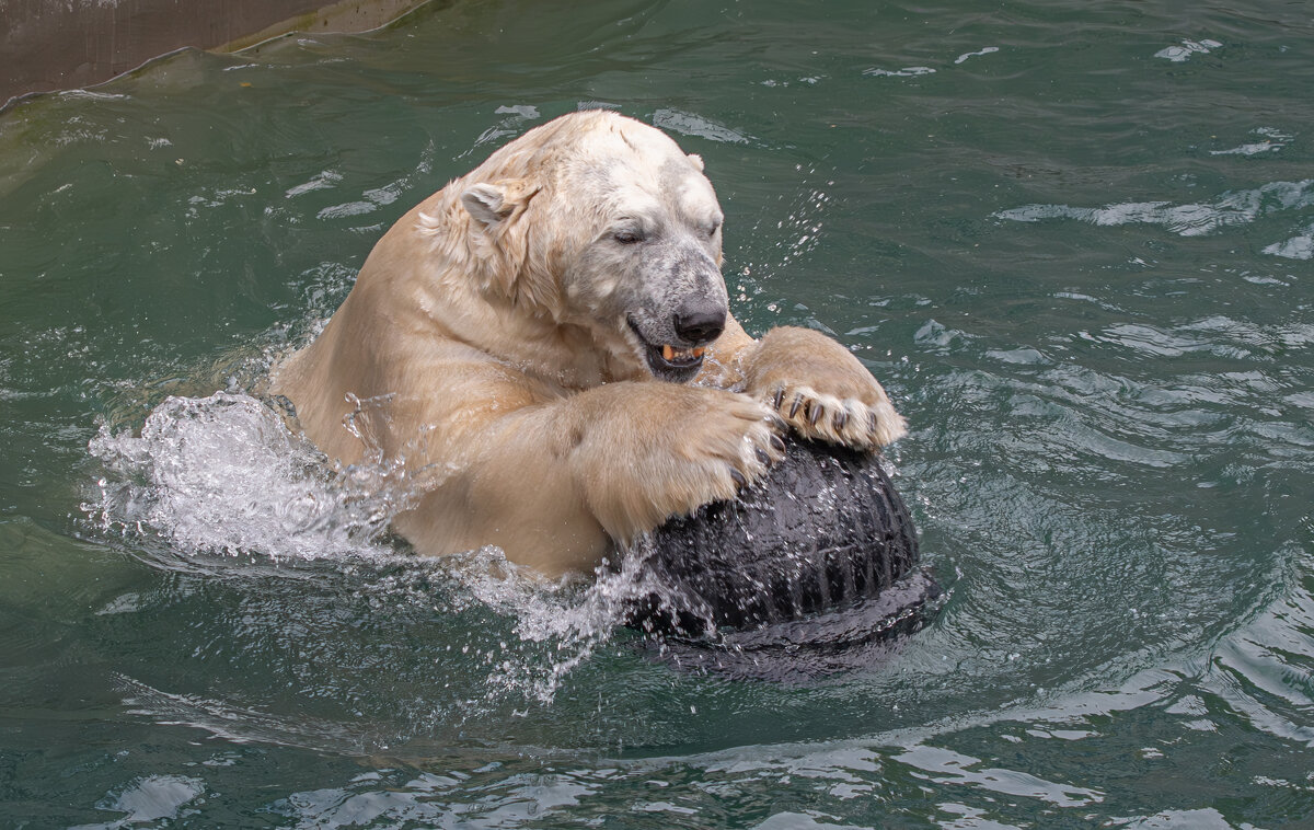 Кай - Михаил Измайлов