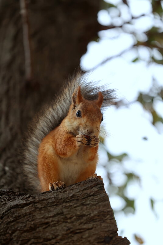 На ветру... - Александр Кондаков