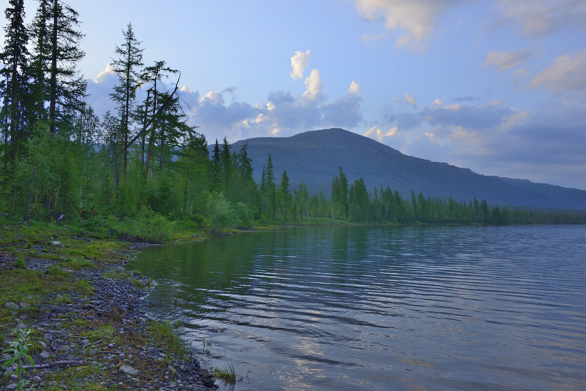 *** - Александр Хаецкий
