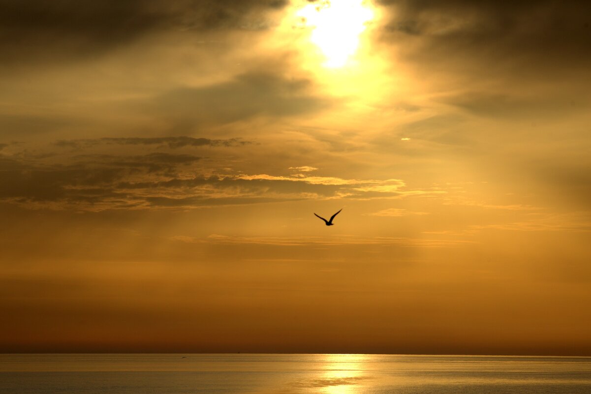Полет на закате - Валерий 
