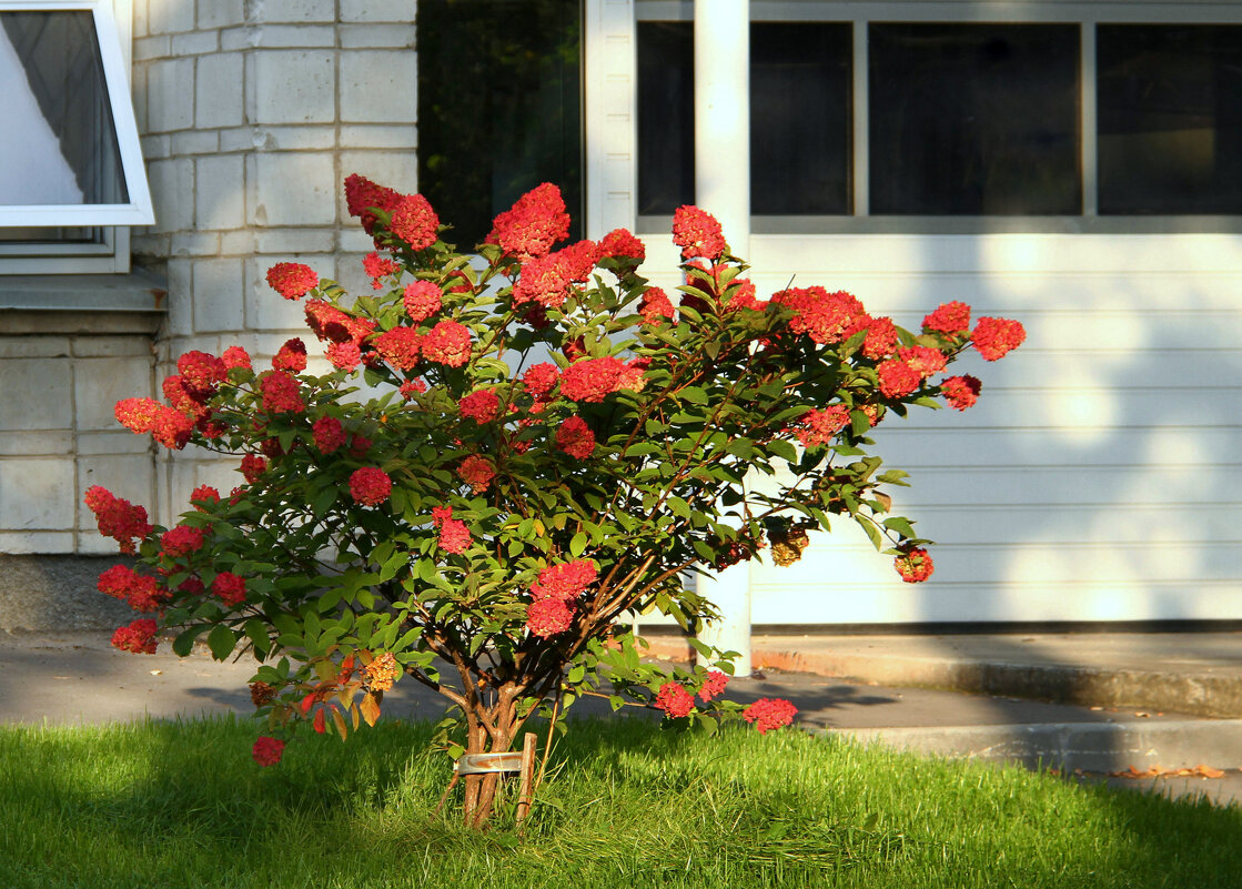 ** - Vlad Сергиевич