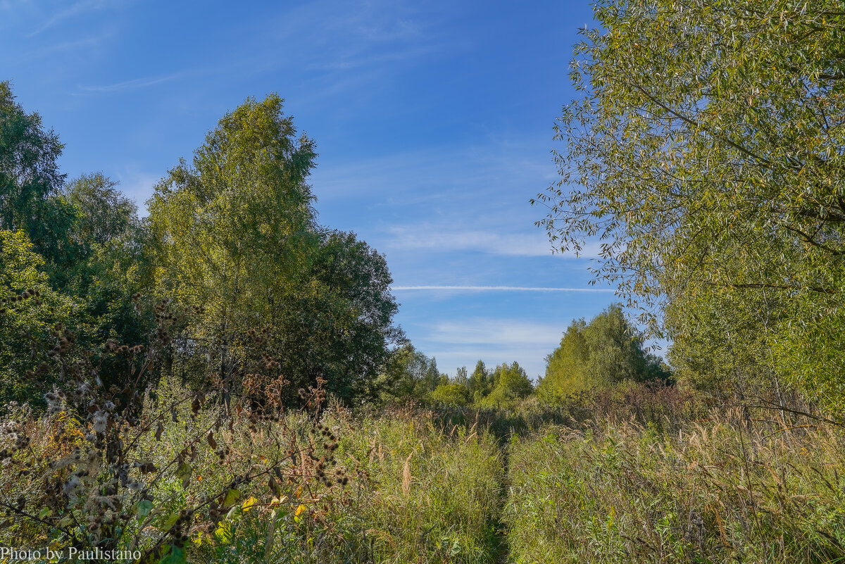 Палитра сентября... - Владимир Жданов