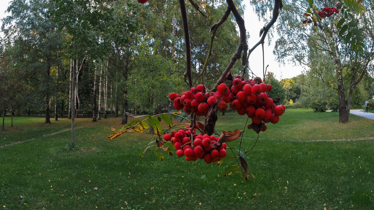***** - юрий поляков