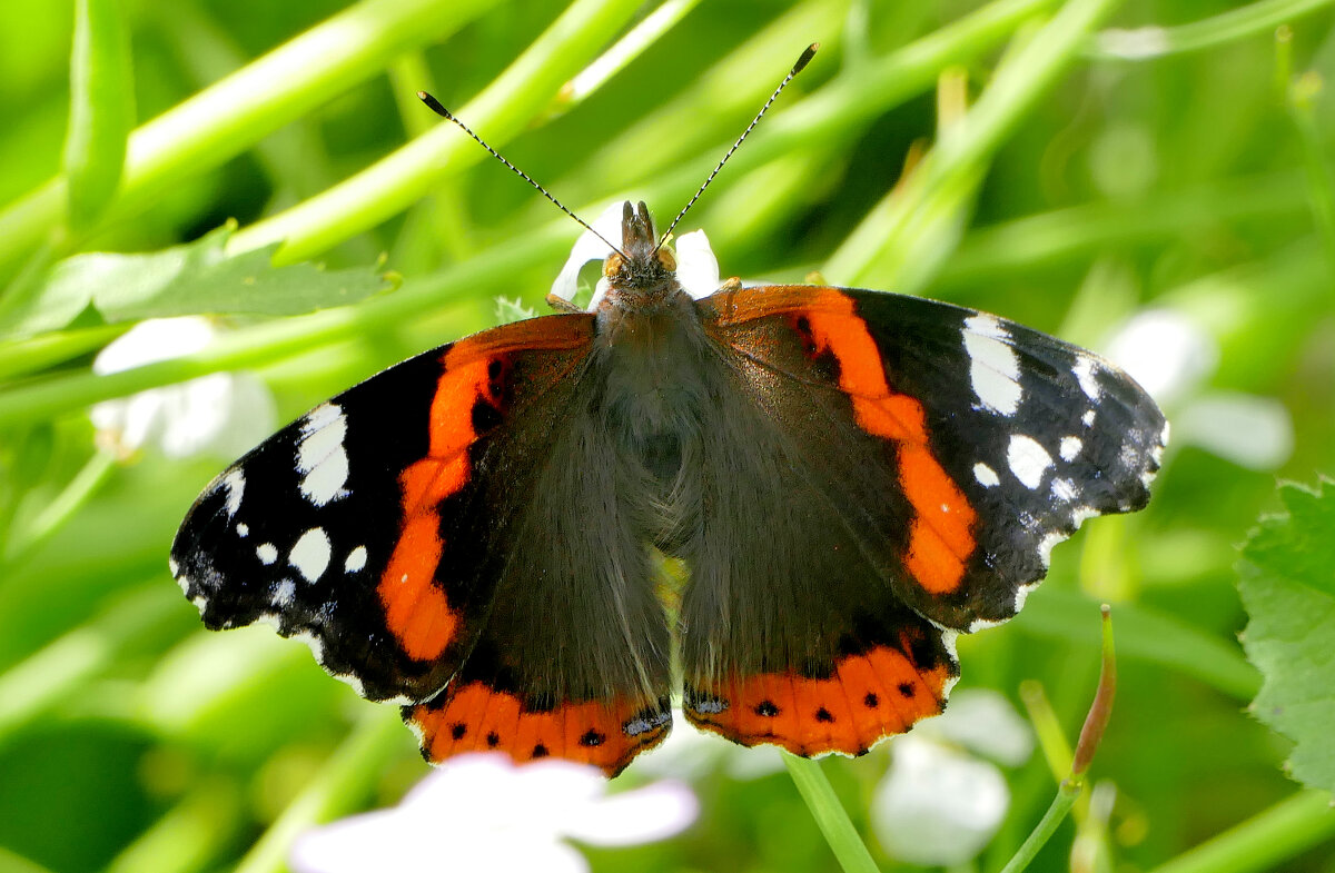 из сегодняшней съёмки 4 - Александр Прокудин из сегодняшней съёмки 4 - Александр Прокудин